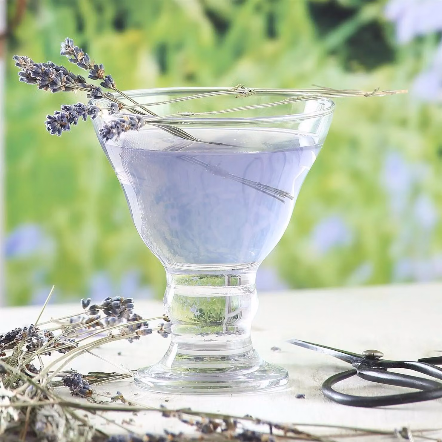 LAV Orion Glass Ice Cream Bowls, Transparent, Pack of 12, 255ml – 2