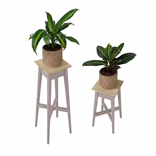 Statement Furniture Florence Set of 2 Wooden Plant Stands in Taupe, H 80 cm and H 50 cm – 2
