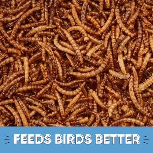 Happy Beaks Dried Mealworms for Wild Birds, High Protein Bird Feed, 5kg – 2
