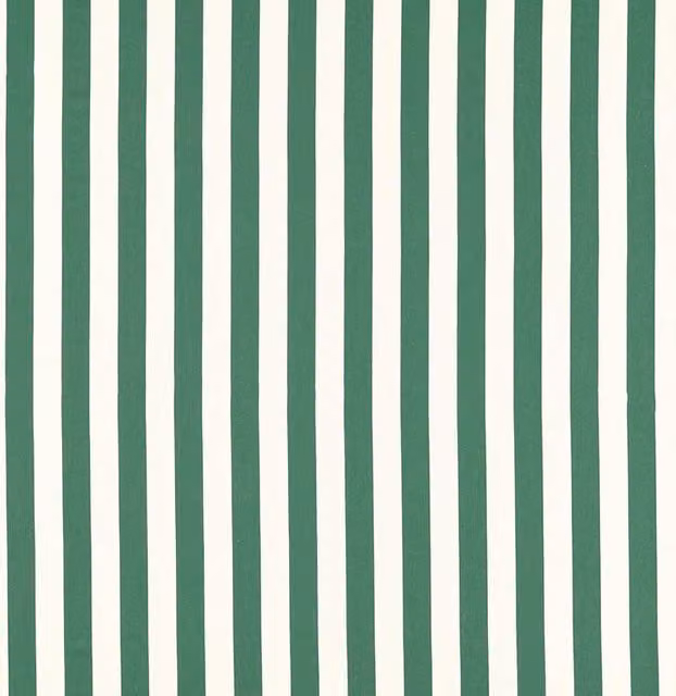 Clarke & Clarke Portland Fabric in Green and White