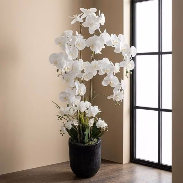 Garden Greatness Maison Botanical Real Touch Orchid in White and Multicolour, Height: 150 cm