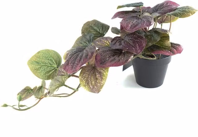 Artificial Purple Pothos Trailing Plant in Black Plastic Pot
