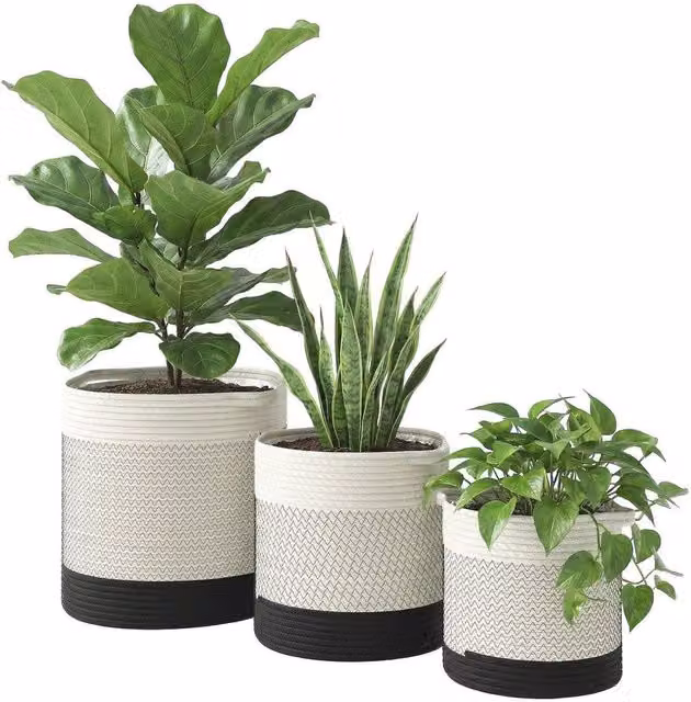 KORVIXA Handwoven Cotton Plant Pot Set in White