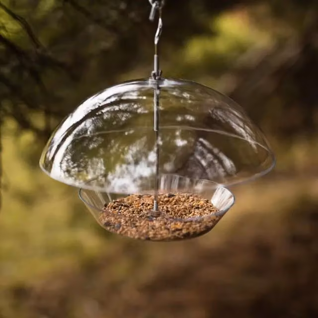 Garden Mile Clear Hanging Dome Canopy Bird Feeder with 1kg Bird Seed, Transparent
