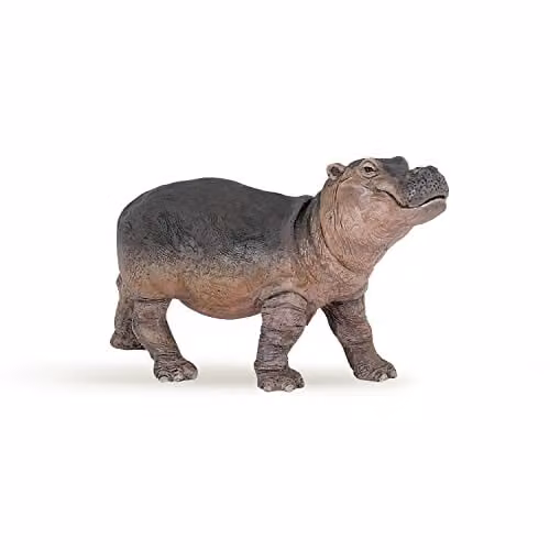 Papo Wild Life Collection Realistic Baby Hippopotamus Figure in Grey and Multicolour