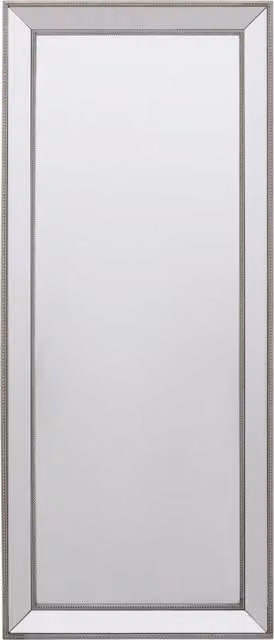 Orsina Champagne Rectangular Wall Mirror with Silver Wooden Frame
