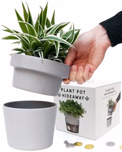Suck UK Ceramic Hideaway Plant Pot with Secret Storage in Grey and Multicolour, H 15.5 cm x W 15.5 cm x D 15.5 cm