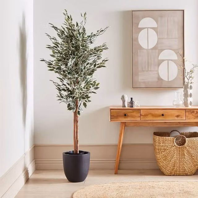 Wyld and Coco 167 cm Artificial Green Ficus Tree with Concrete Base – 1