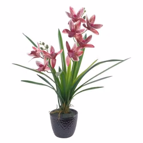 Leaf Design UK Dark Pink Artificial Orchid in a Black Ceramic Planter, Height: 50 cm