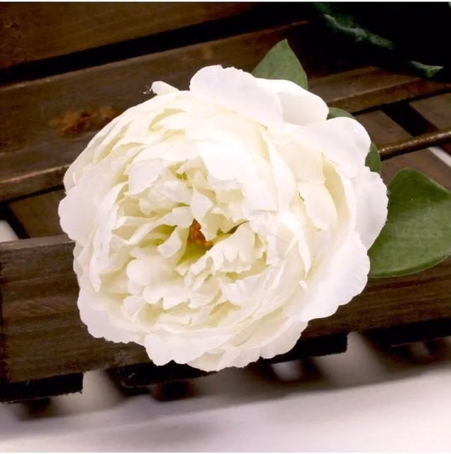 KDMD Single Peony Floral Arrangement in White and Beige, 2 Pack, Height: 68 cm – 1