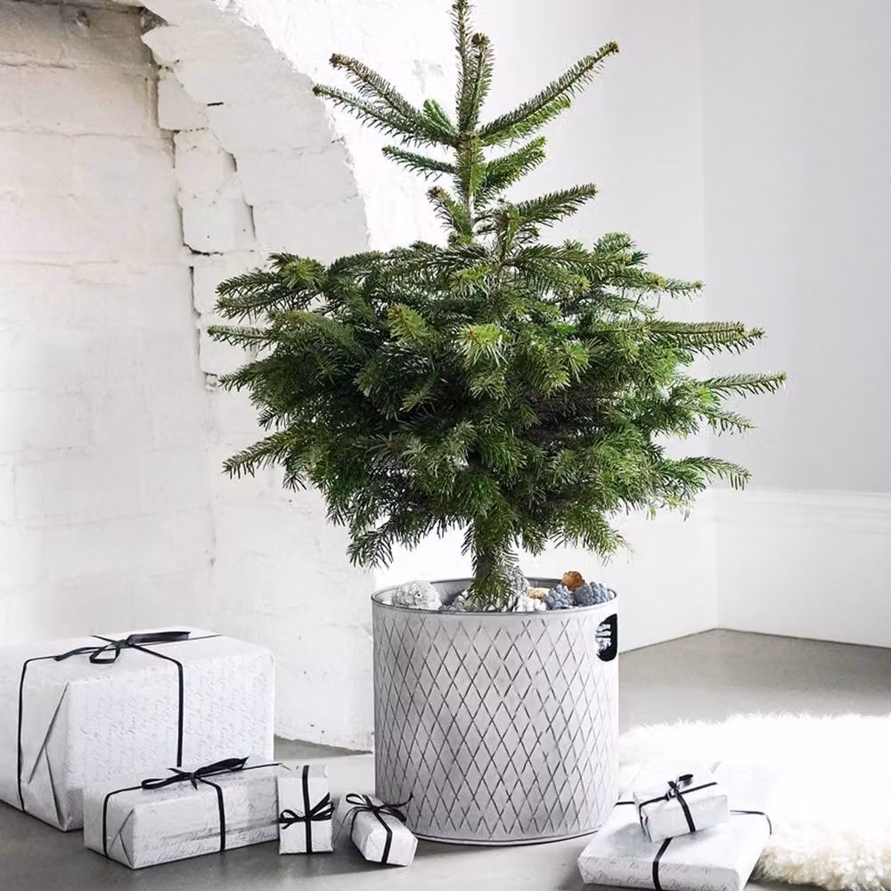 Lemon Pavilion Furniture and Decor Grey Galvanised Steel Indoor Christmas Tree Bucket, W28 x D28 x H28 cm – 3