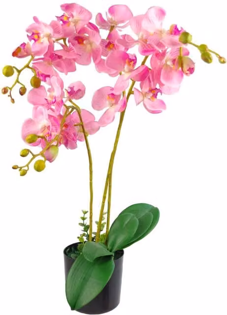 Leaf Pink Artificial Luxury Triple Stem Orchid in Green, Height: 60 cm – 1