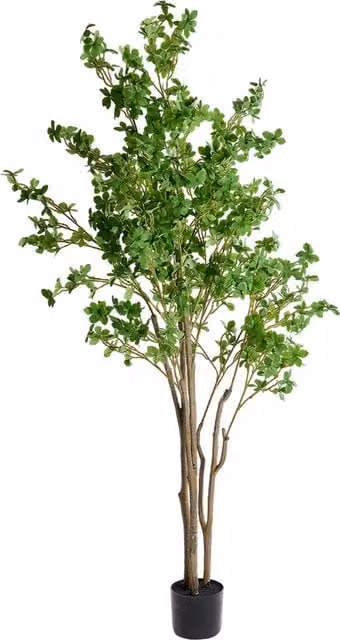 Livingandhome Artificial Enkianthus Tree in Green, Height: 75 cm