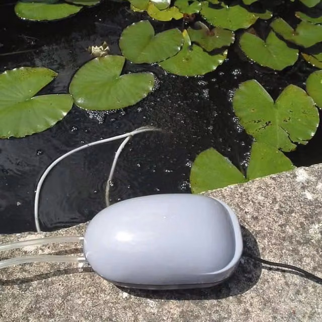 Primrose Solar Powered Oxygenator Aerator Air Pump - White