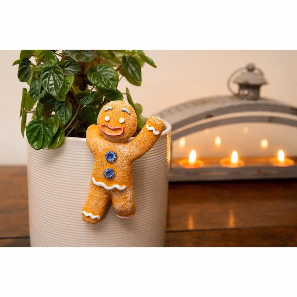 Jardinopia Gingerbread Man Pot Buddy in Orange and Multicolour, W: 6.5 cm, D: 1 cm, H: 3 cm – 3