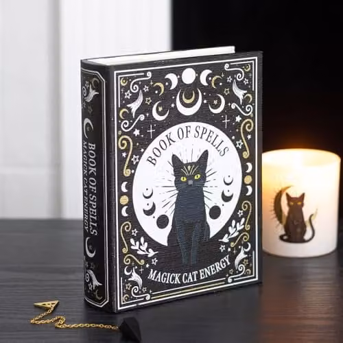 Something Different Wholesale Black Cat Magick Book of Spells Shaped Storage Box with Lid – 3