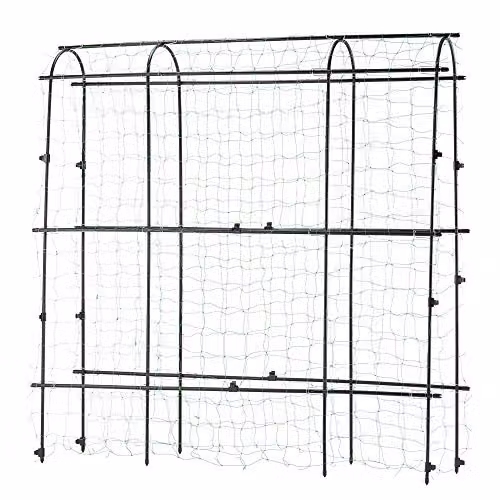 Garden Gear Black Metal Pea and Bean Tunnel with Four Arches and Mesh Netting, W 1.8 m x H 1.8 m – 1