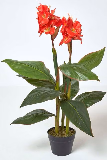 Homescapes Artificial Canna Lily Plant in Green and Red, Height: 90 cm – 1