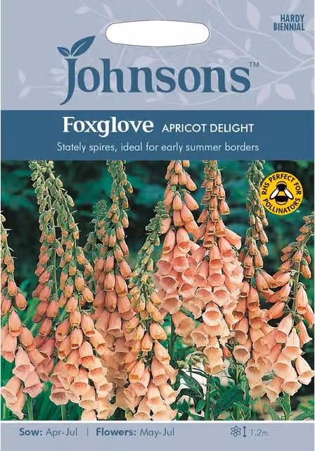 Johnsons Foxglove Apricot Delight Orange Ornamental Flower Seeds