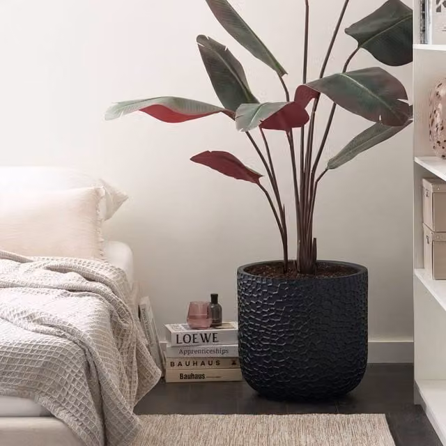 Wyld and Coco Black Round Fibre Clay Planter W: 43 cm, D: 43 cm, H: 42 cm