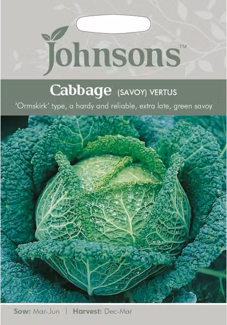 Johnsons Savoy Vertus Cabbage Vegetable Seeds, Green