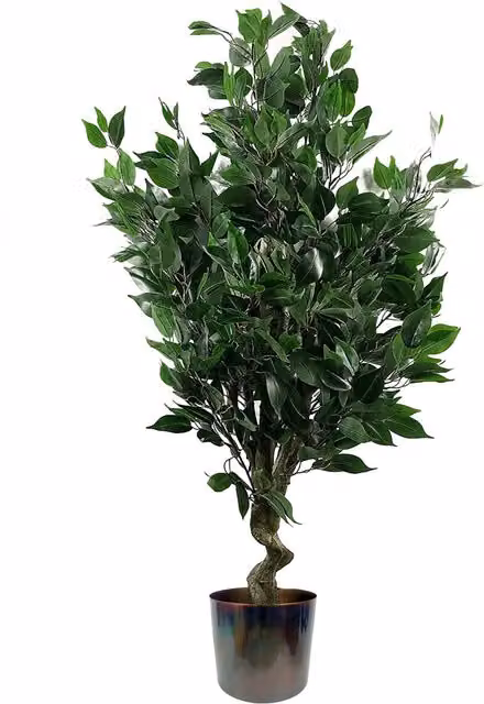 Leaf Realistic Artificial Ficus Tree, Multicolour Green, Height: 55 cm