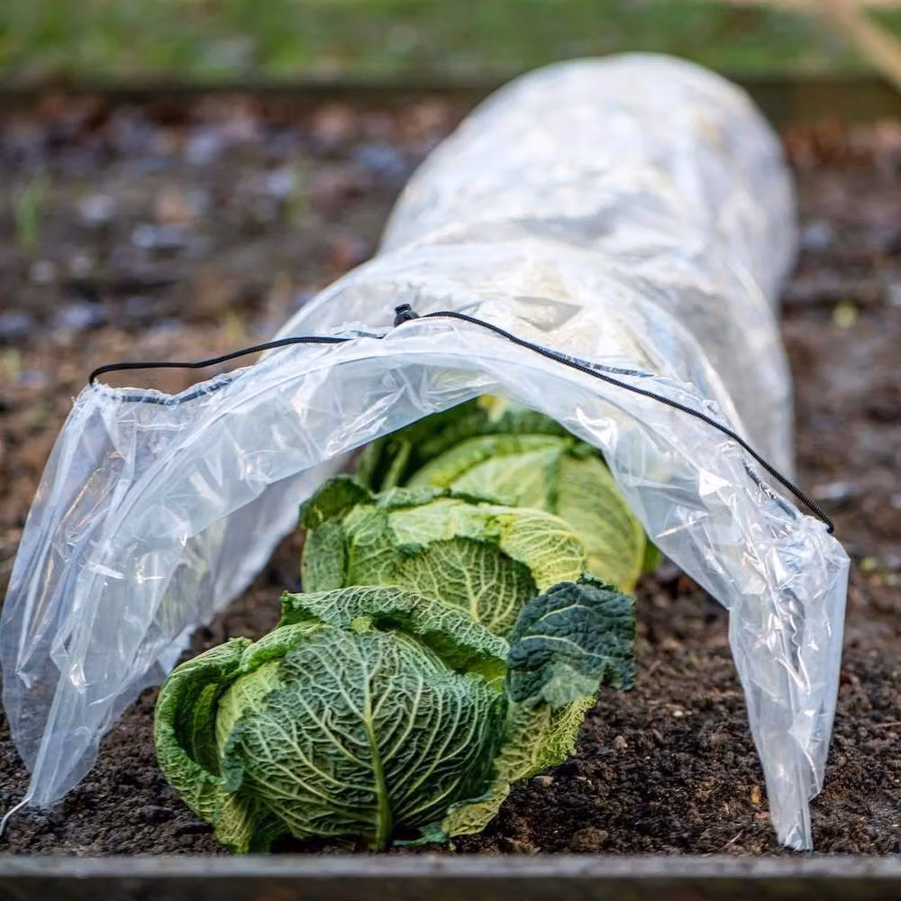 FLAVORA 3-Piece Clear PE Greenhouse Tunnel Grow Cover Polytunnel for Garden W/D/H: 100 x 15 x 15 cm – 3