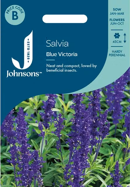 Johnsons Seeds Blue Victoria Salvia Flower Seeds