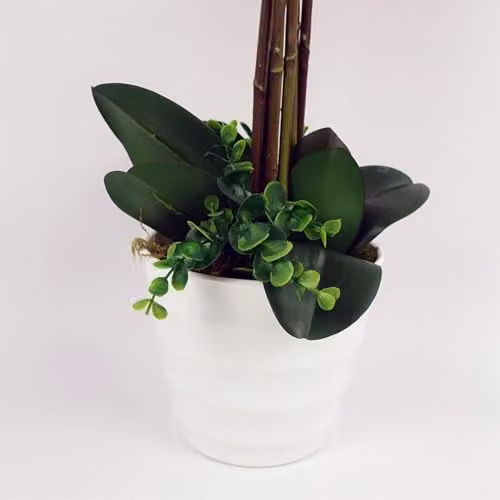 Botanik Realistic Artificial Pink Orchid Plant in Black Pot, Height: 85 cm – 6