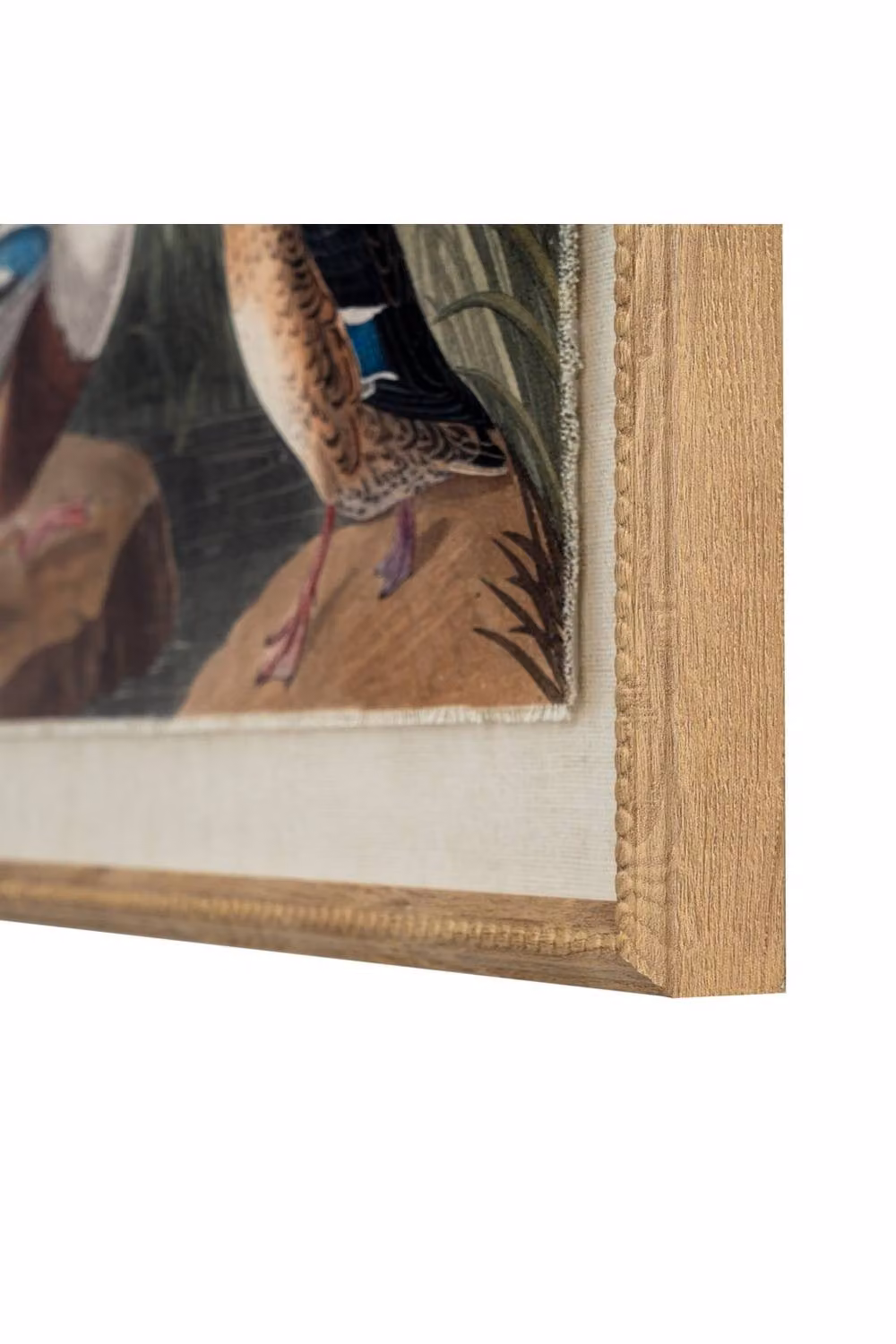 KDMD Flora & Fauna Mallard on Linen Beaded Frame Wall Artwork in Brown and Beige – 2