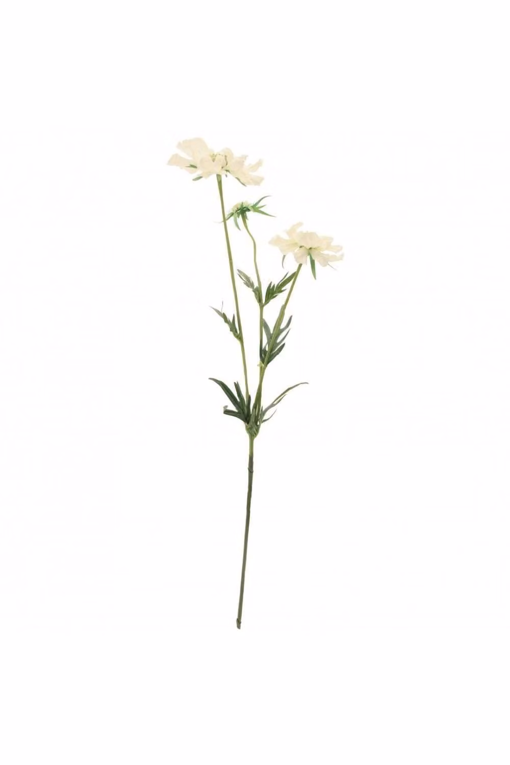 KDMD White Scabiosa Artificial Spray Flowers, Height: 75 cm – 3