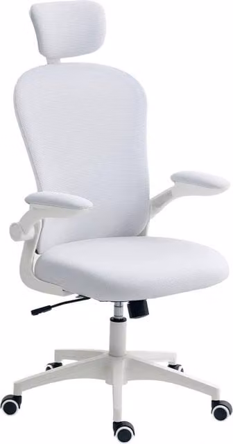 Havendro Ergonomic Mesh Office Chair with Headrest and Weight Adjustment, White – 1