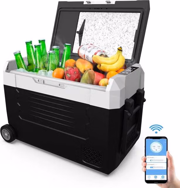 FLAVORA 55L Electric Compressor Car Refrigerator in Black – 1