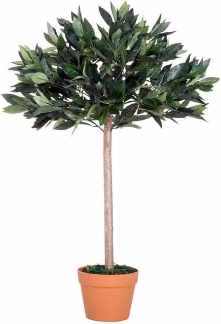KORVIXA Artificial Laurel Tree in an Orange Pot, Green, Height: 90 cm – 1