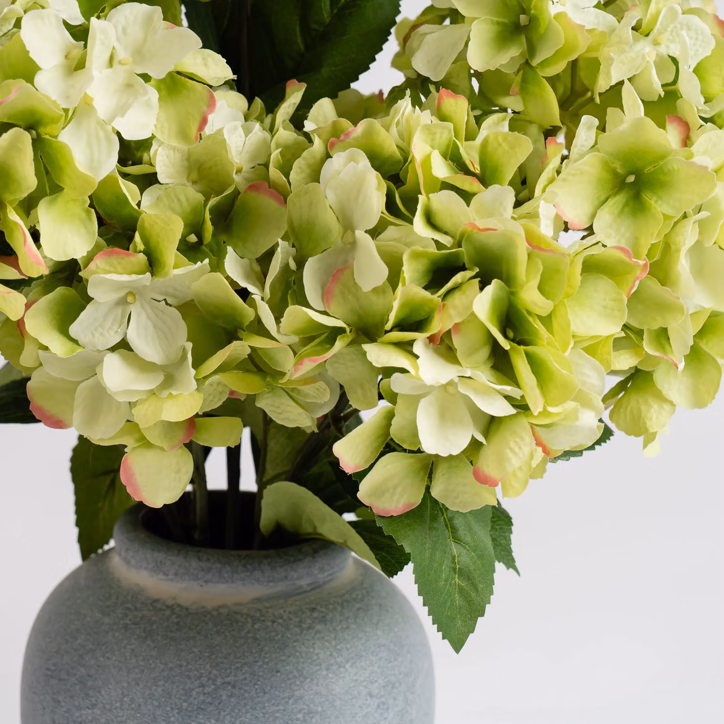 Scottish Everlastings Ltd Green Hydrangeas in a Grey Ceramic Vase, Height: 50 cm – 2