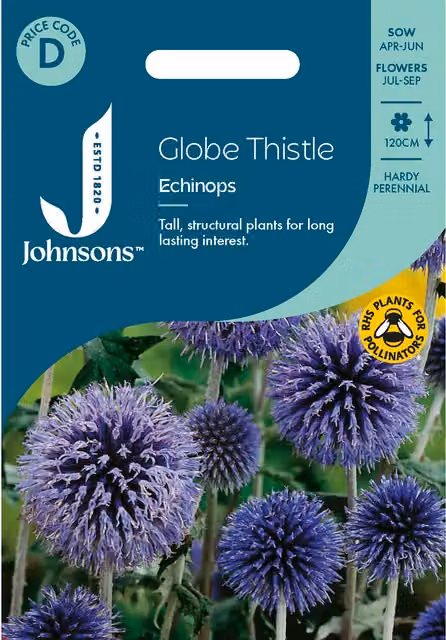Johnsons Seeds Blue Globe Thistle Echinops Ornamental Flower Seeds