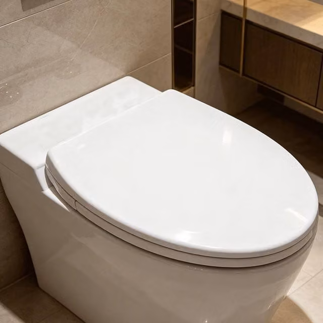 SINOBATH Antibacterial Duroplast Soft-Close Toilet Seat in White