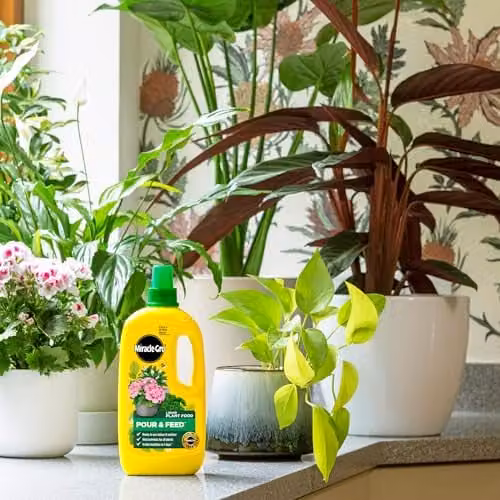 Miracle-Gro Pour and Feed Liquid Plant Tonic for Lawns, 1 l – 2
