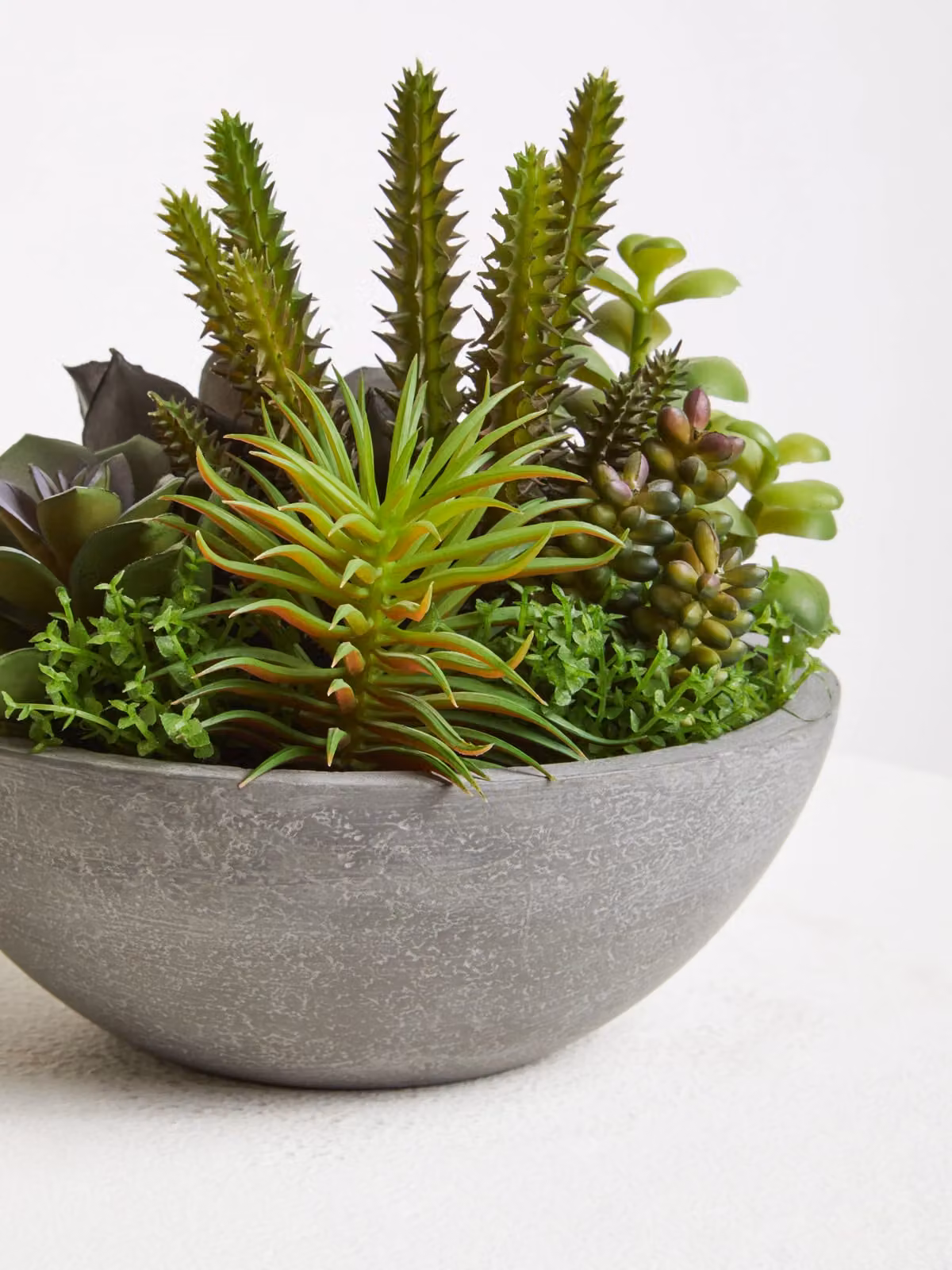 Fiori Mixed Multicolour Succulent Arrangement in a Round Rustic Grey Stone Effect Pot – 4