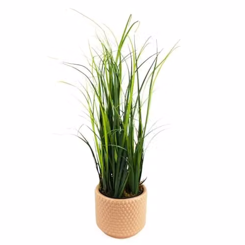 Leaf Design UK Artificial Grass Plant in a Pink Dotted Ceramic Planter, Height: 60 cm, W/D/H: 15 x 15 x 15 cm – 1