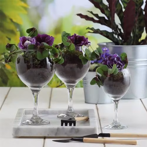 LAV Misket Red Wine Glasses, 365ml, Pack of 12, Transparent – 2