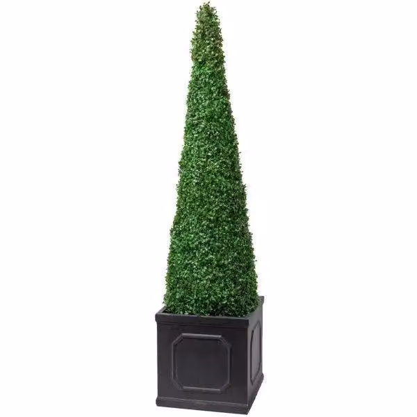Primrose XL Buxus Obelisk Artificial Topiary Cone Tree in Green, Height: 140 cm – 3