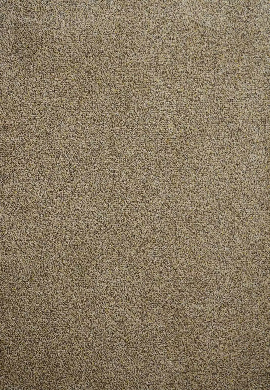 Desire Rugs Non-Slip and Dirt-Repellent Beige Polyester Door Mat, W: 50 cm, D: 80 cm – 2