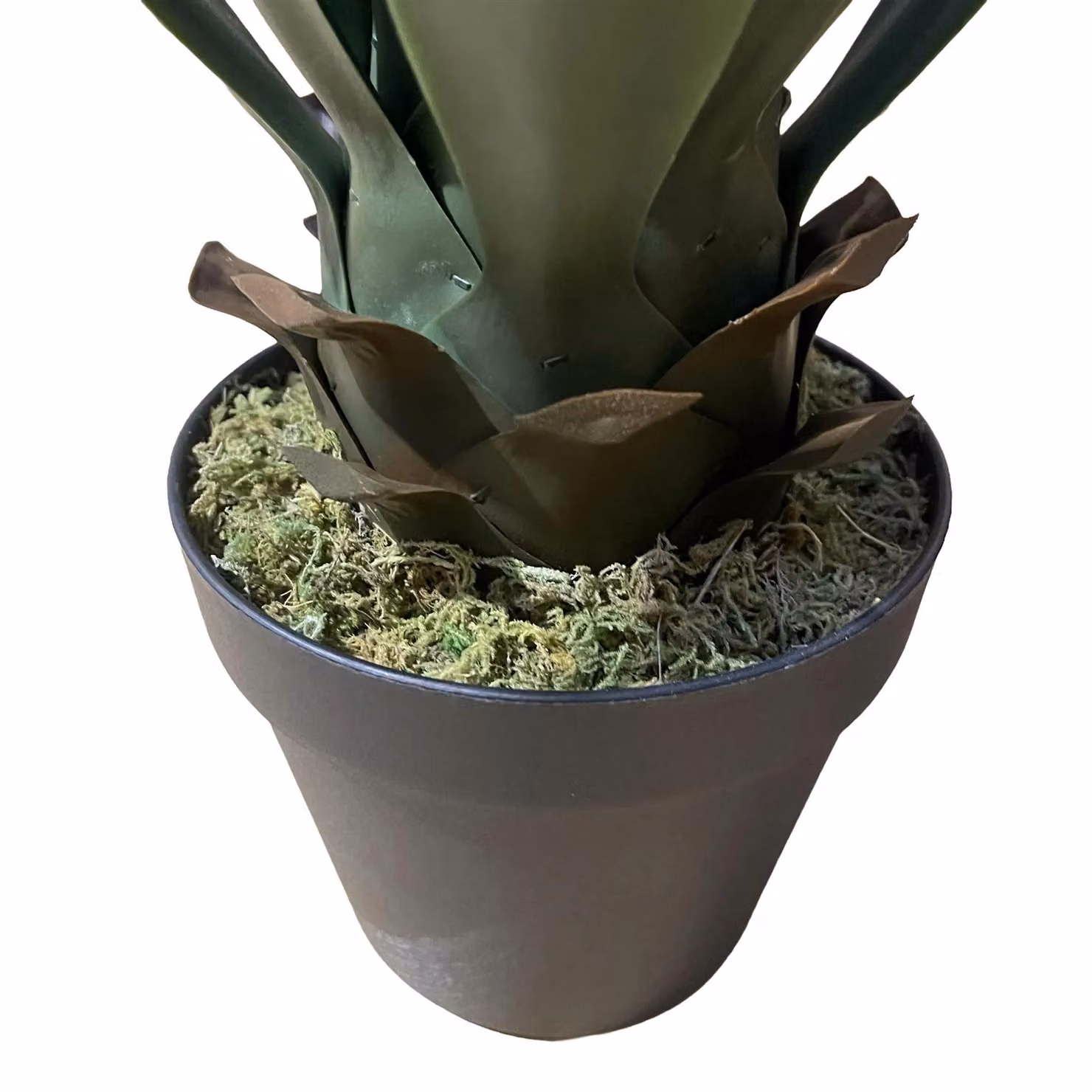 Leaf Design UK Green Artificial Deluxe Yucca Tropical Potted Plant, Height: 60 cm – 3