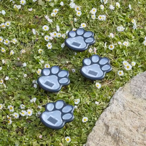 mysmartbuy Set of 4 Solar Powered Paw Print Design Garden Stake Lights in Black with Cool White LEDs, W/D/H: 9 x 9 x 9 cm – 2