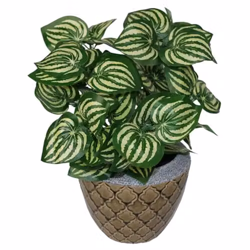 Leaf Design UK Realistic Artificial Watermelon Style Potted Plant in Green and Black, H 45 cm x W 40 cm x D 40 cm – 1