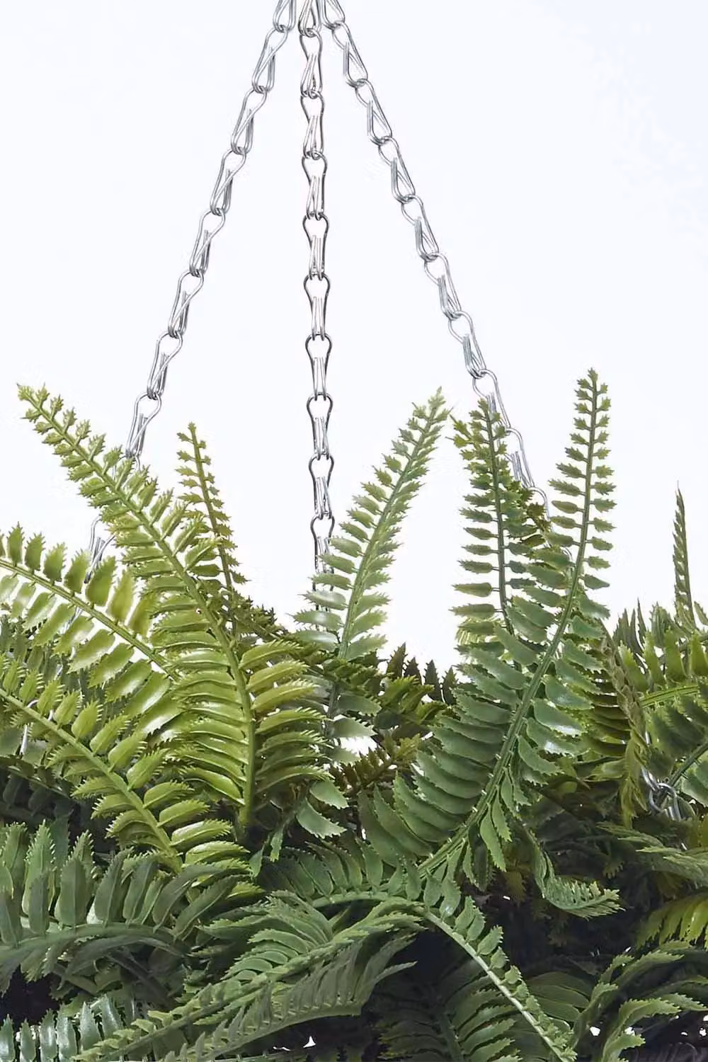 Homescapes Artificial Boston Fern Hanging Basket in Green with Silver Metal Chain – 4