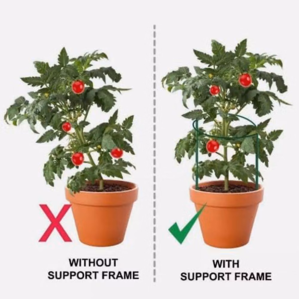 Marco Paul Green Metal Garden Plant Support Stakes, 3 Pack – 2