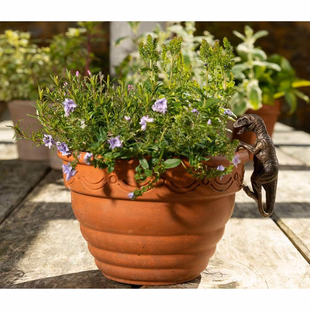 Jardinopia Velociraptor Hanging Plant Pot Hanger, Bronze, W: 4.5 cm, D: 10.5 cm, H: 5 cm – 2