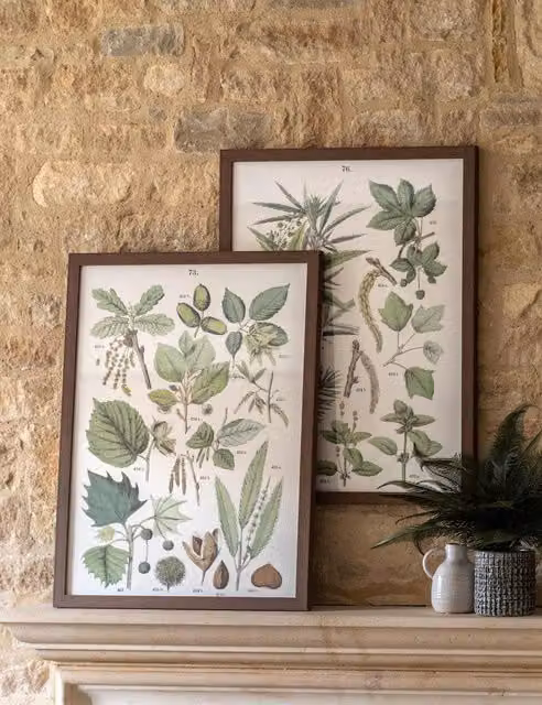 Gallery Direct Set of 2 Vintage Green Botanical Foliage Study Framed Wall Art